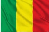 VlagDirect - Malinese vlag - Mali vlag - 90 x 150 cm