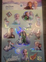 Disney Frozen Stickers 6 vellen - NL - 100+ stickers