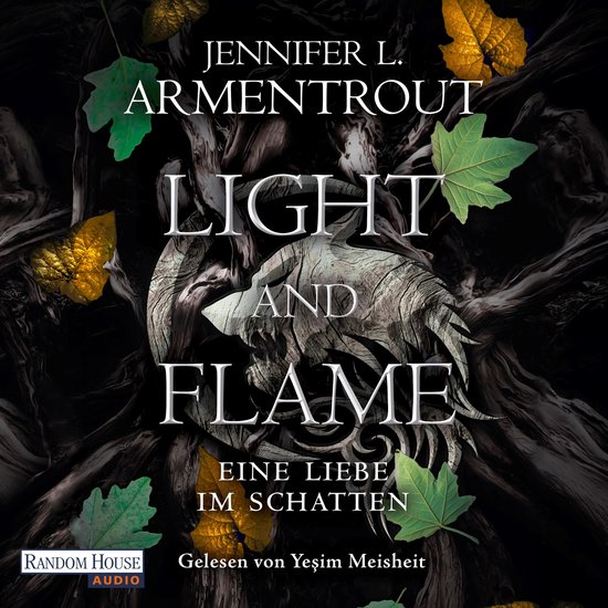 Light and Flame Eine Liebe im Schatten, Jennifer L. Armentrout 9783837166576 Boeken bol.