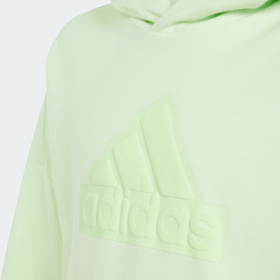 adidas Sportswear Future Icons Logo Sweatshirt met Capuchon - Kinderen - Groen- 140