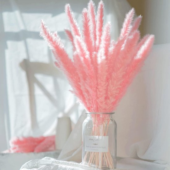 Pampasgras gedroogd, 60 stuks droogbloemen, decoratie, doe-het-zelf