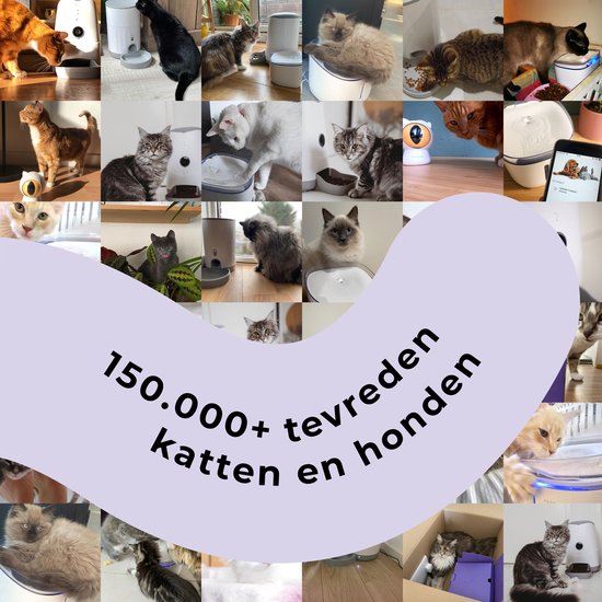 Pettadore Play Springs – Set van 9 Kattenveertjes – Kattenspeelgoed
