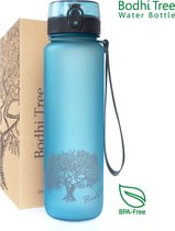 Bodhi Tree Gourde 500 ml - Bouteille d'eau - Sans BPA - Filtre à fruits - Bouteille d'eau Sport de Plein air - Bouteille de sport - Bouteille Water 500 ml - Blauw - Bleu clair