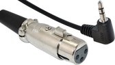 XLR (v) - 3,5mm Jack (m) haaks audiokabel - 3 meter