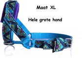 Leader doux bleu clair carré violet doublé tête anti-traction licol chien Taille XL