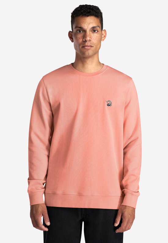 A-dam KOIKARPY - Pull - Katoen - Homme - Rose - L