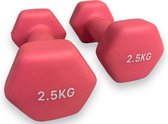 Padisport - Dumbells 2,5 Kg - Halter - Gewichten Set Halters - Gewichten 2,5 Kg - Roze - Gewichten - Dumbells - Halters - Gewichtjes 2,5 Kg