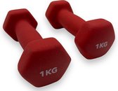 Padisport - Dumbells 1 Kg - Halter - Gewichten Set Halters - Gewichten 1 Kg - Rood - Gewichten - Dumbells - Halters - Gewichtjes 1 Kg