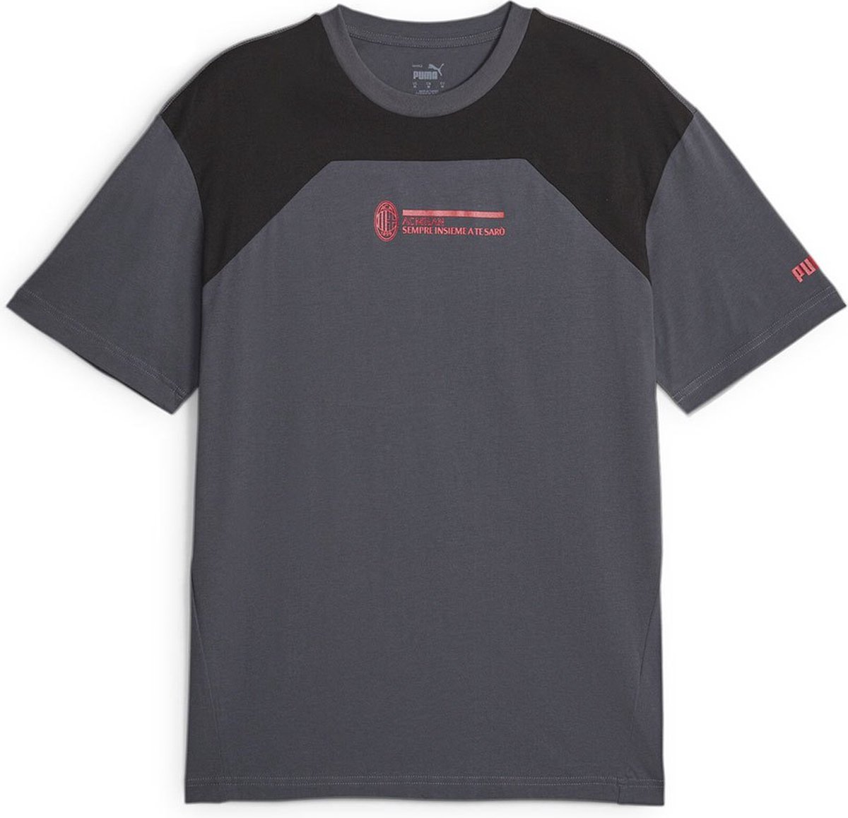 Puma Acm Football Culture T-shirt Met Korte Mouwen Grijs L Man