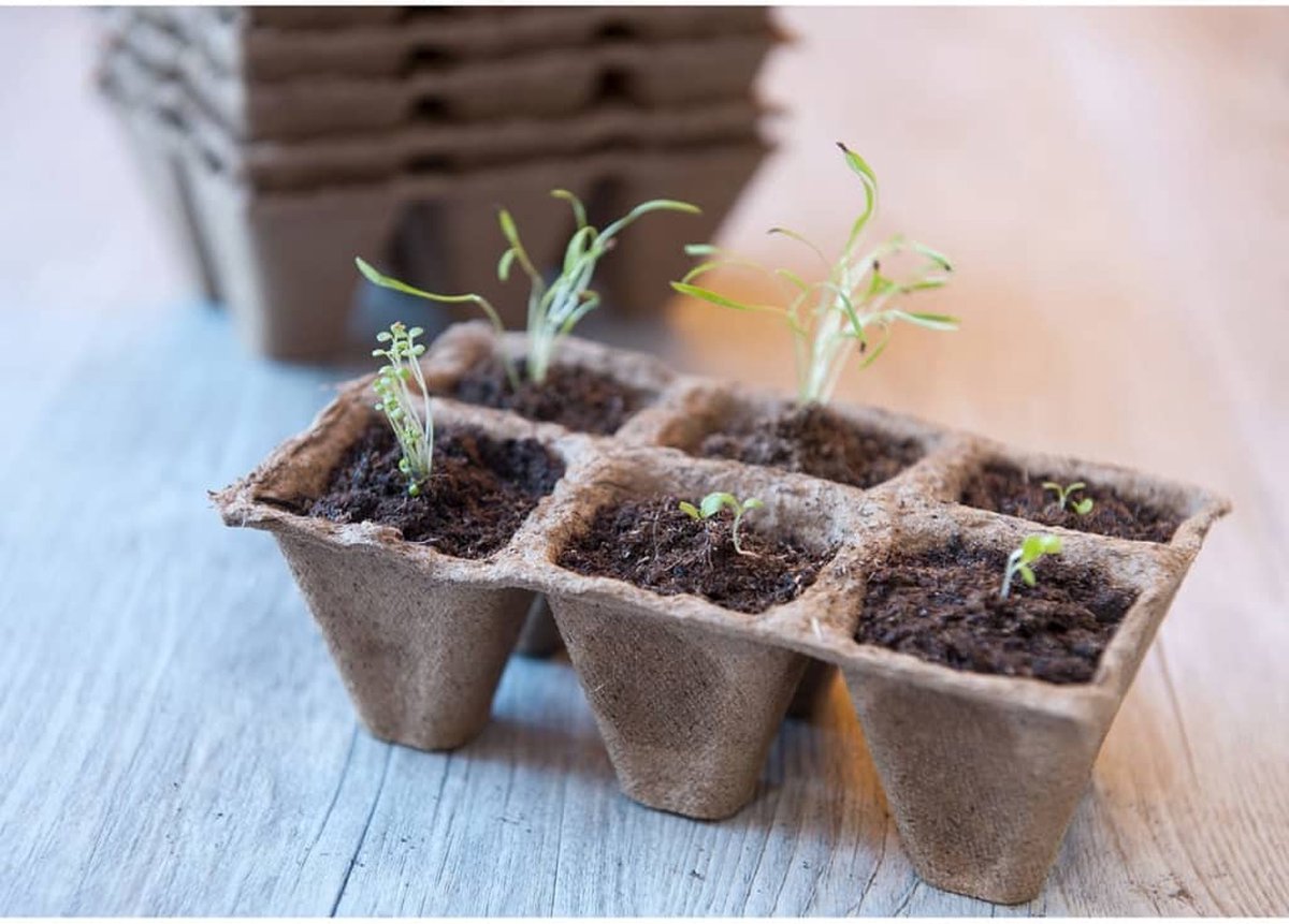 80Pièces Pot Plastique Plante Pots de Fleurs 10cm Potager Pot de