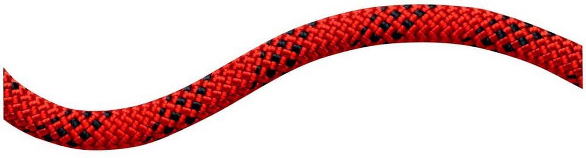 Mammut 10.5 Performance Static Touw Rood 200 m