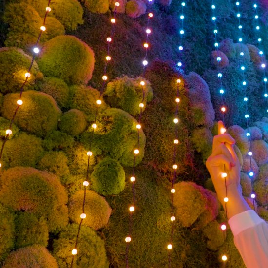 Twinkly kerstbomen Binnen Kerstverlichting