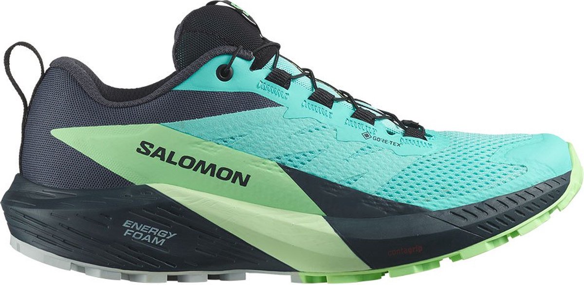 Salomon Sense Ride 5 Goretex Trailrunningschoenen 2/3 Vrouw Blauw