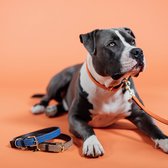 Kentucky Gevlochten Nylon presentatielijn hond - Navy Small dogs - Maat 120 cm