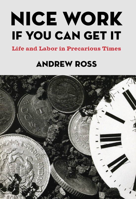 Boekomslag met de titel 'NICE WORK IF YOU CAN GET IT', 'Life and Labor in Precarious Times' en 'ANDREW ROSS', met munten en mieren.