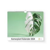 XL 2024 Kalender - Jaarkalender - Kamerplant