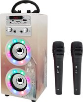Karaoke Set Voor Volwassenen - Karaoke Set Met 2 Microfoons - Karaoke Set Draadloze Microfoon -