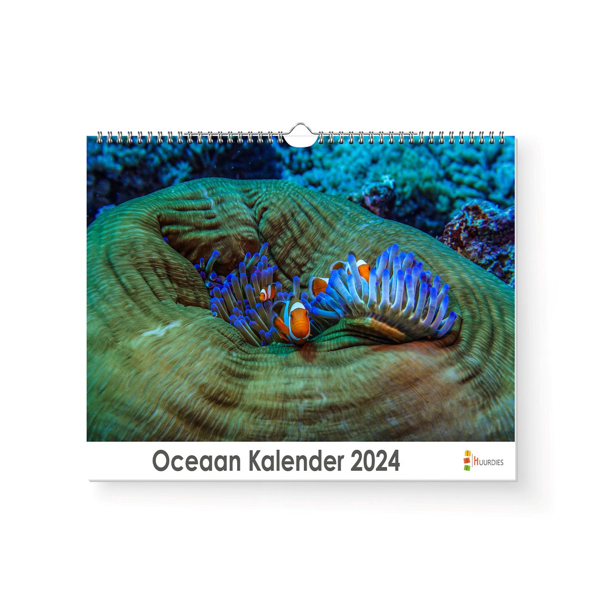 XL 2024 Kalender - Jaarkalender - Oceaan