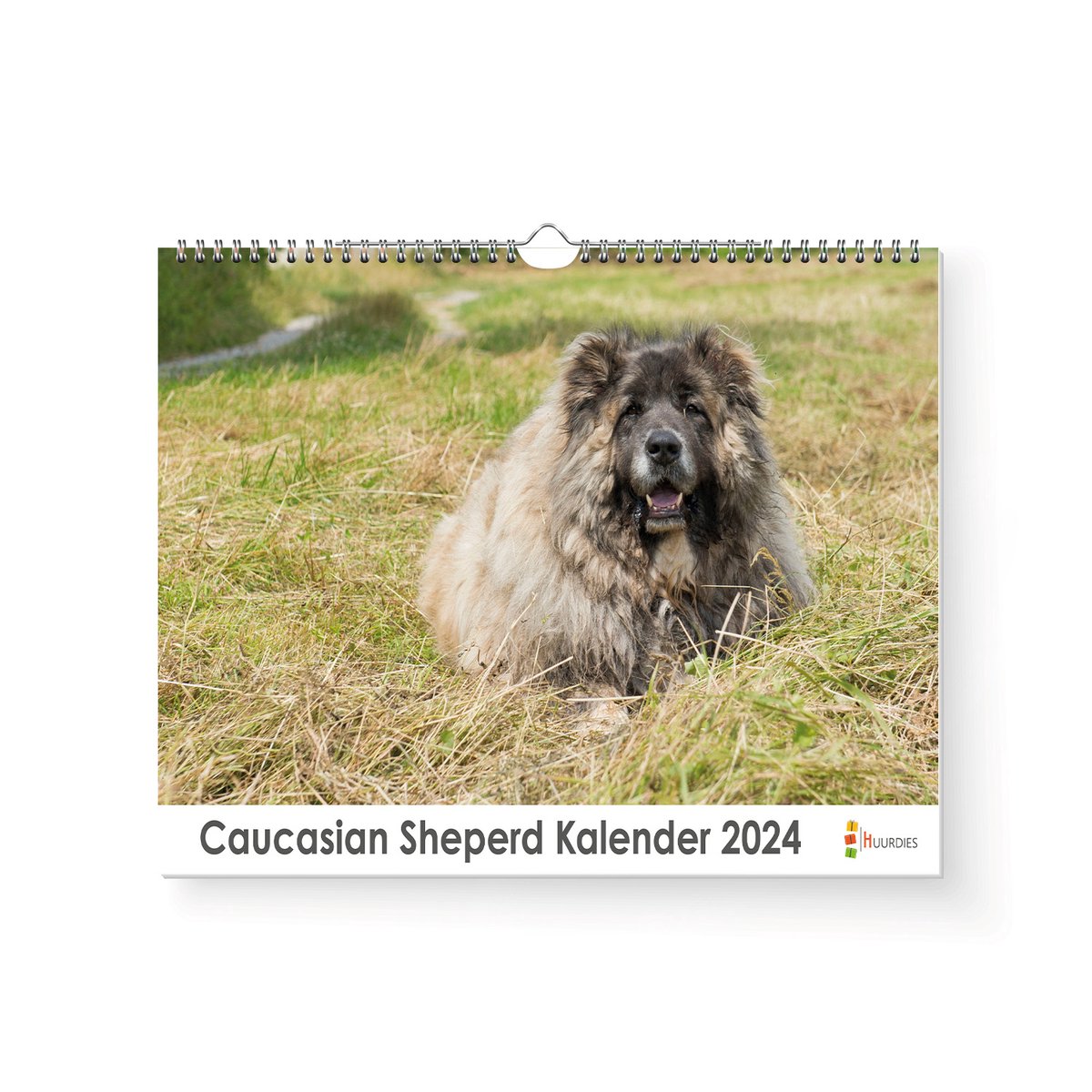 XL 2024 Kalender - Jaarkalender - Causasian Sheperd dog