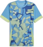 Puma Individual Goal Graphic Jersey Shirt Heren Blauw Groen