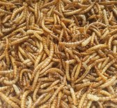 Benelux Nature gedroogde meelwormen 5 kg
