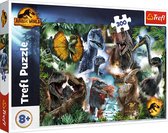Puzzle Jurassic World - Dinosaures préférés - 300 pièces - 8+