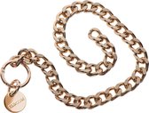 Statement Collar and leash