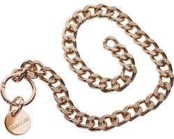 Statement Collar and leash