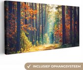Canvas - Schilderij natuur - Bos - Bladeren - Natuur - Herfst - Wanddecoratie - Foto op canvas - 40x20 cm - Slaapkamer - Interieur
