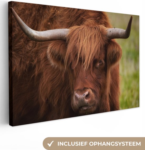 Tableau sur toile Scottish Highlander - Oranje - Animaux - 140x90 cm - Décoration murale