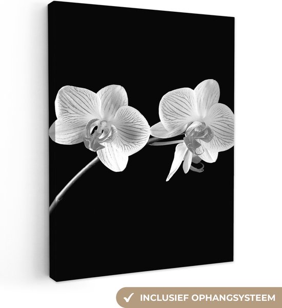 Canvas Schilderij Orchidee - Bloemen - Zwart - Roze - Knoppen - 30x40 cm - Wanddecoratie