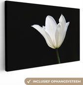 Canvas Schilderij Witte tulp - 30x20 cm - Wanddecoratie
