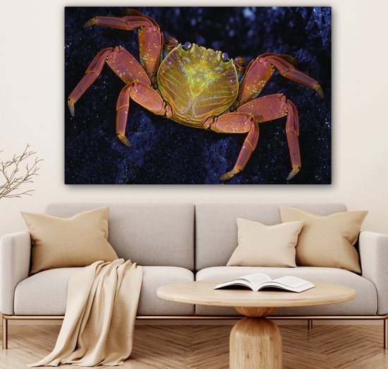 Canvas Schilderij Krab - Water - Dieren - 120x80 cm - Wanddecoratie