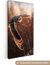 Canvas - Schilderij - Vogel - Uil - Zonsondergang - Natuur - Muurdecoratie vogels - Canvas doek - Foto op canvas - 20x40 cm - Slaapkamer