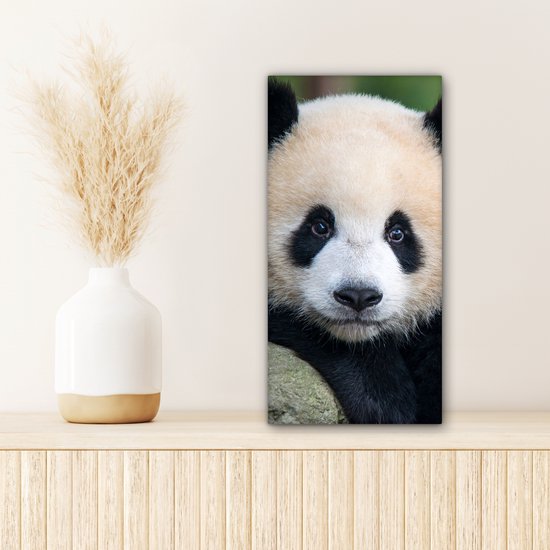 OneMillionCanvasses - Canvas - Panda - Steen - Natuur - Muurdecoratie - 20x40 cm - Canvas schilderij - Canvas doek