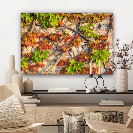 Feuilles d'Hedera rouges et vertes sur un mur de pierre Toile 180x120 cm - Tirage photo sur Toile (Décoration murale salon / chambre) XXL / Grand format!