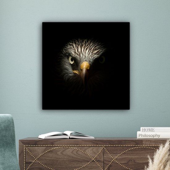 Tableau sur toile Vogel - Aigle - Rapaces - Oeil - Bec - Lumière - 50x50 cm - Décoration murale
