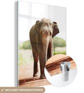 MuchoWow® Glasschilderij 60x80 cm - Schilderij acrylglas - Wandelende olifant - Foto op glas - Schilderijen