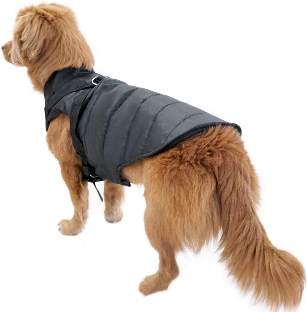 PETCUTE Hondenjas voor de winter, waterdichte hondenjas met