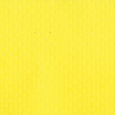 Textuur vel Dotted lemon zest - 30x30 cm - Bazzill - 25 Vellen