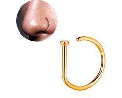 Top 10 Piercings en Piercing Nazorg 2026: Fake Neuspiercing Goud 8 mm