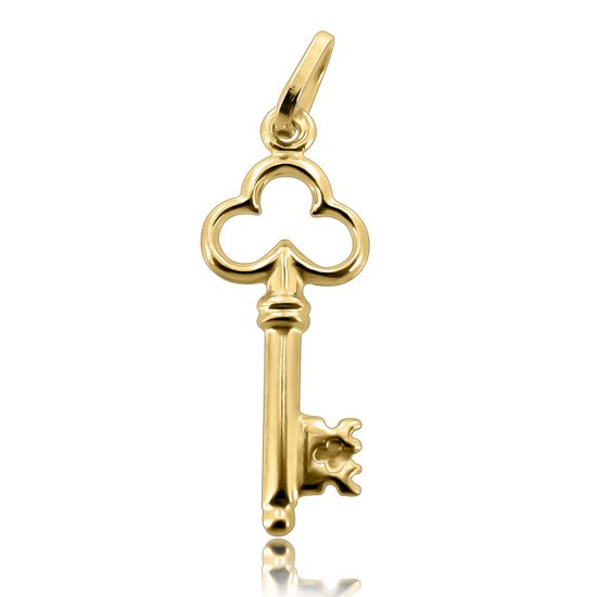 Juwelier Zwartevalk 14 karaat gouden sleutel hanger - 14.102.142