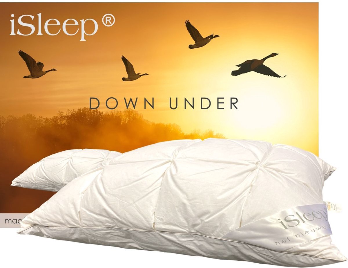 Isleep DownUnder Hoofdkussen - Medium - 60x70 cm - Wit
