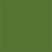 Colorant Textile Basic Vert Olive 50ml
