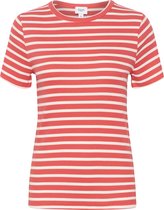 Saint Tropez AstaSZ SS Stripe T-Shirt Dames T-shirt - Maat L