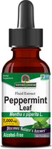Peppermint Leaf (Pepermunt)