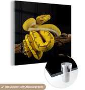 MuchoWow® Glasschilderij 90x90 cm - Schilderij acrylglas - Slang - Tak - Geel - Foto op glas - Schilderijen