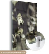 MuchoWow® Glasschilderij 20x30 cm - Schilderij acrylglas - Uitgedroogde eucalyptustakken - Foto op glas - Schilderijen