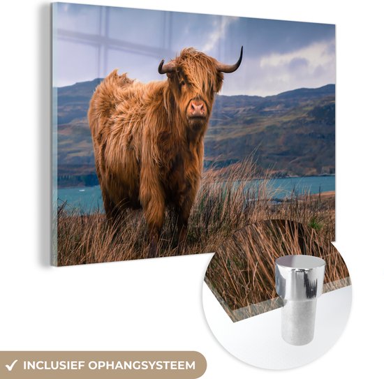 MuchoWow® Peinture sur verre 120x80 cm - Peinture sur verre acrylique - Highlander écossais - Ciel - Nature - Photo sur verre - Peintures