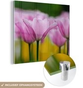MuchoWow® Peinture sur verre 90x90 cm - Peinture sur verre acrylique - Fleurs - Tulipes - Rose - Photo sur verre - Peintures